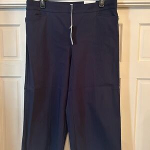 Chicos size 3.5 navy pull on pants